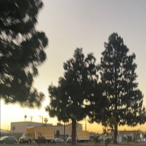 Meet your Posher, Yasmin